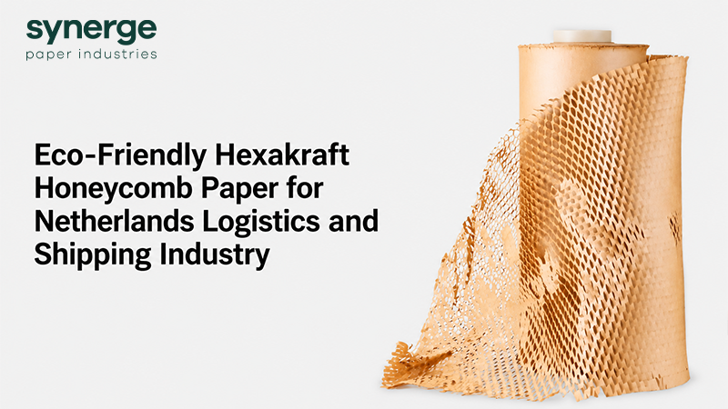 Eco-Friendly Hexakraft Honeycomb Paper for Netherlands Logistics and Shipping Industry